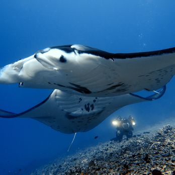 1. Keauhou Bay