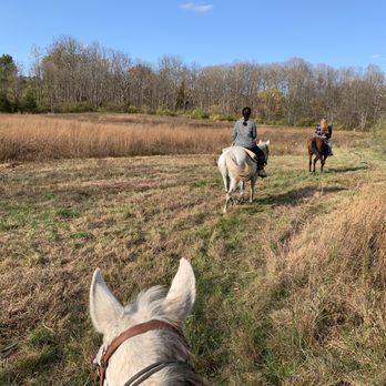 Serene Horse Ranch - Horseback Riding Near Me - Layton, New Jersey Serene Horse Ranch - Horseback Riding Near Me - Layton, New Jersey