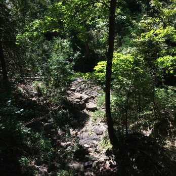 Hilton Falls Conservation Area - Some of the views - Parks Near Me - Milton, Ontario