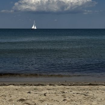 The Inkwell - Beaches Near Me - Oak Bluffs, Massachusetts