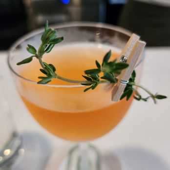 Bar Botanico - Operal - Cocktail Bars Near Me - Pittsburgh, Pennsylvania Bar Botanico - Operal - Cocktail Bars Near Me - Pittsburgh, Pennsylvania