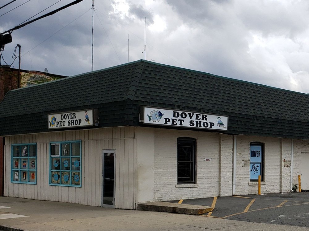 DOVER PET SHOP Updated May 2024 112 E Blackwell St, Dover, New