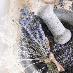 Trinity Gardens Lavender Farm