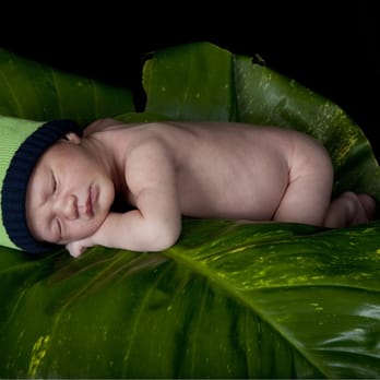 Dylan Dawson Photography - Event Photography Near Me - Pearl City, Hawaii