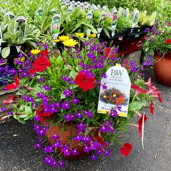 Clovers Garden Center - Nurseries & Gardening Near Me - Willowbrook, Illinois