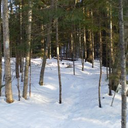 Wilson's Cove Trail - Pure white blanket of snow on the trail