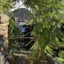 Photo of The Hobbit's House