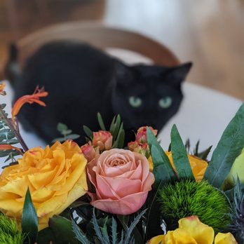 Nigella SF - Florists Near Me - San Francisco, California Nigella SF - Florists Near Me - San Francisco, California