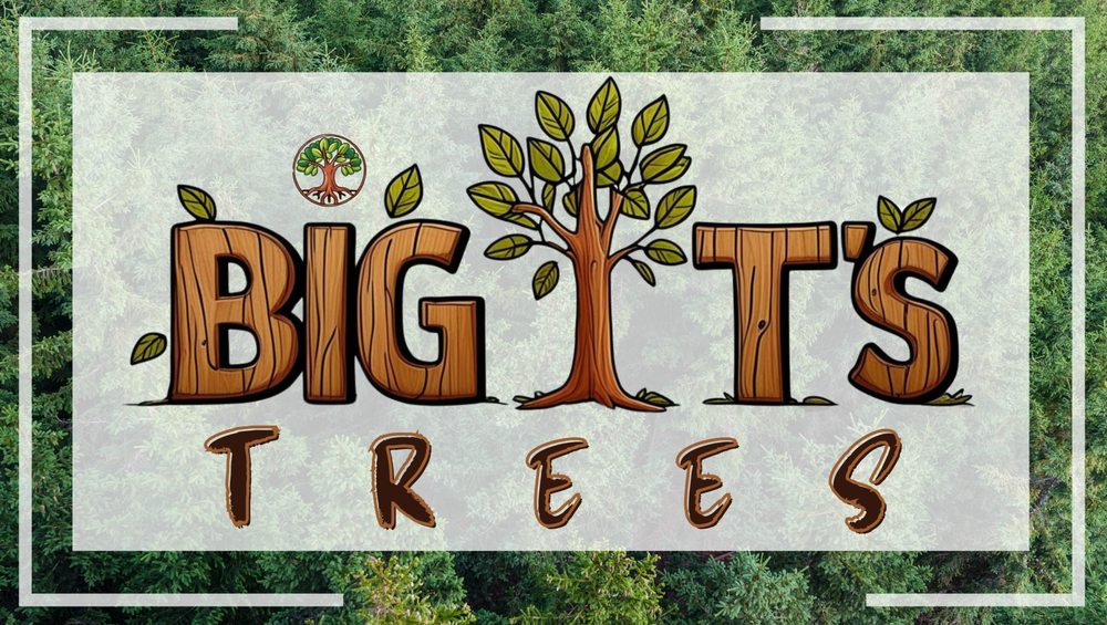 Big T's Trees - tree service in Colorado Springs, CO