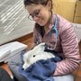Photo of Redwood Veterinary Hospital