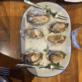 Timber Cove Resort - Rancid oysters - Hotels Near Me - Jenner, California Timber Cove Resort - Rancid oysters - Hotels Near Me - Jenner, California