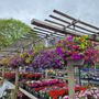 Photo of Claiborne Garden Center