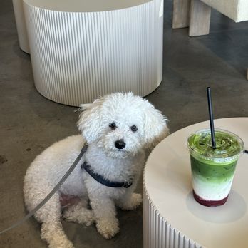 Matchabae - strawberry matcha - Cafes Near Me - Lynnwood, Washington