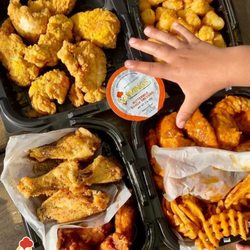 Wings Over Providence