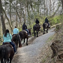 Big Rock Dude Ranch at Ponderosa - Rocky horseback riding