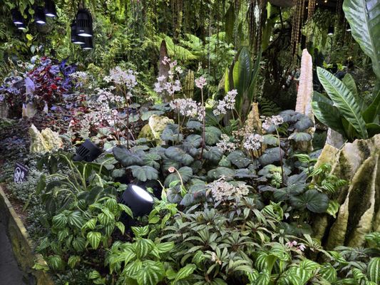Gardens by the Bay by null