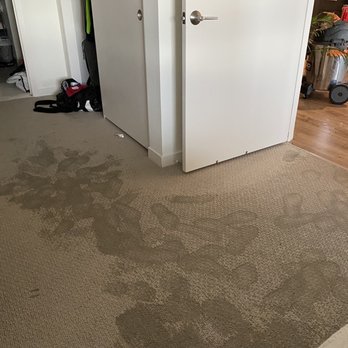 The Current - Ruined carpet and clothing in our closets - Apartments Near Me - Long Beach, California