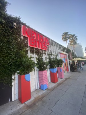 Netflix Bites by null