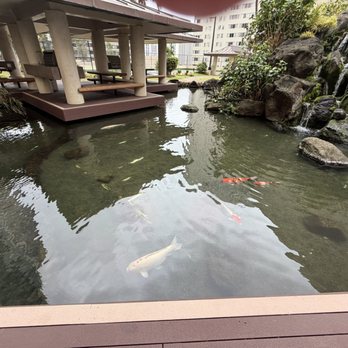 Honolulu Park Place - Koi pond - Apartments Near Me - Honolulu, Hawaii Honolulu Park Place - Koi pond - Apartments Near Me - Honolulu, Hawaii