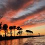 Photo of Sea Venice Sunset Charters
