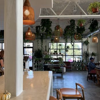 Palomino Coffee - interior - Coffee Roasteries Near Me - Austin, Texas