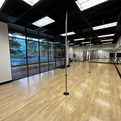 Studio 4 Pole 4 Fun - 7 Stainless Steel Lupit Poles