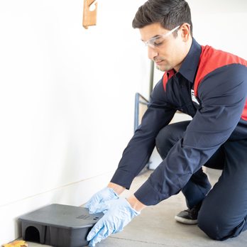 Fox Pest Control - Central NJ - Pest Control Near Me - Princeton, New Jersey Fox Pest Control - Central NJ - Pest Control Near Me - Princeton, New Jersey