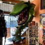 Photo of Lucky Lizard Curios & Gifts