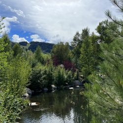 The Rio Grande Trail - Beauty All Around! (08/26/22)