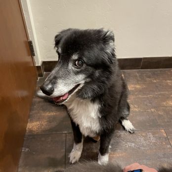 PAWS Veterinary Center - Veterinarians Near Me - Tucson, Arizona