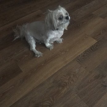 Petco - Pet Training Near Me - Mesa, Arizona