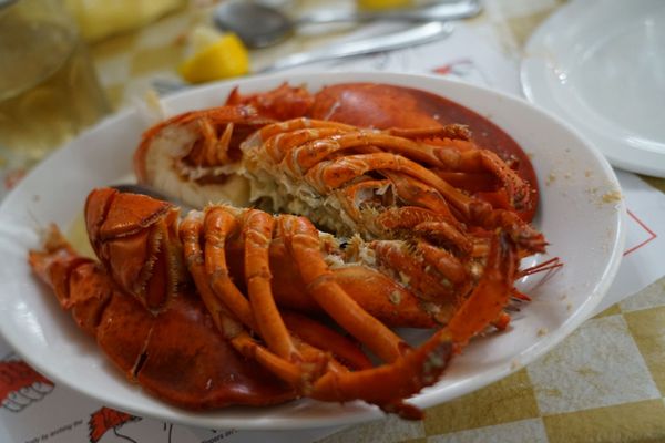 New Glasgow Lobster Suppers by null