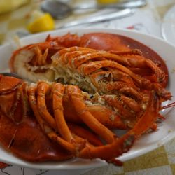 New Glasgow Lobster Suppers - 1.5 lb Lobster