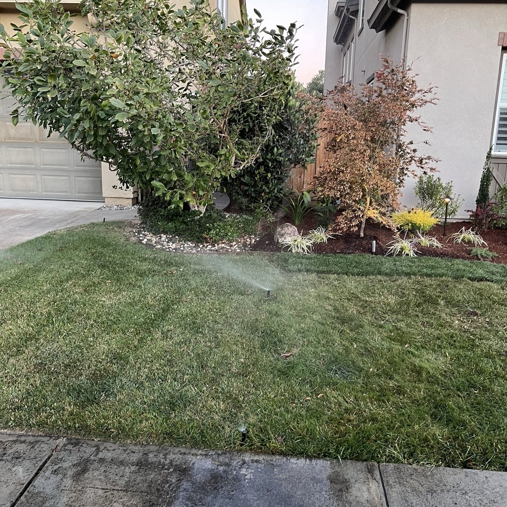 Nunez Landscape Services - Landscaping Near Me - Manteca , California Nunez Landscape Services - Landscaping Near Me - Manteca , California