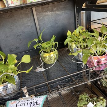 Trader Joe's - Grocery Near Me - Roseville, California Trader Joe's - Grocery Near Me - Roseville, California
