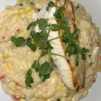 Spring And Porter Restaurant - Ocean halibut - Italian Near Me - Petoskey, Michigan Spring And Porter Restaurant - Ocean halibut - Italian Near Me - Petoskey, Michigan