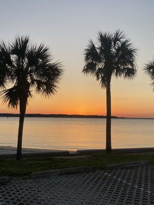 The Sea Pines Resort by null