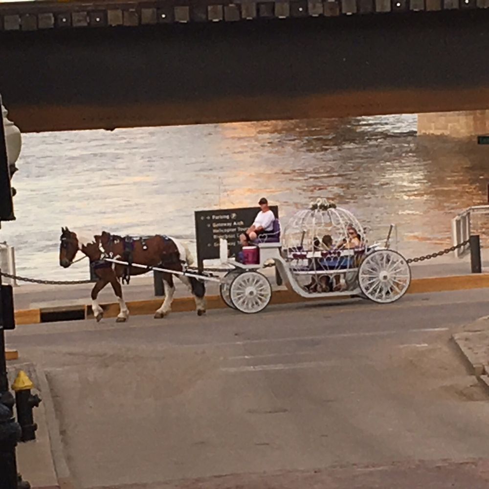 Riordan Tours - Carriage ride around Laclede's Landing in St. Louis. - Tours Near Me