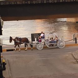 Riordan Tours - Carriage ride around Laclede's Landing in St. Louis.