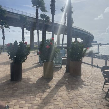 Cobalt - Seafood Near Me - Orange Beach, Alabama