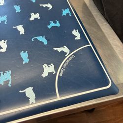 Harlem Valley Animal Clinic - Mark Sebetic DVM - Inspection Table