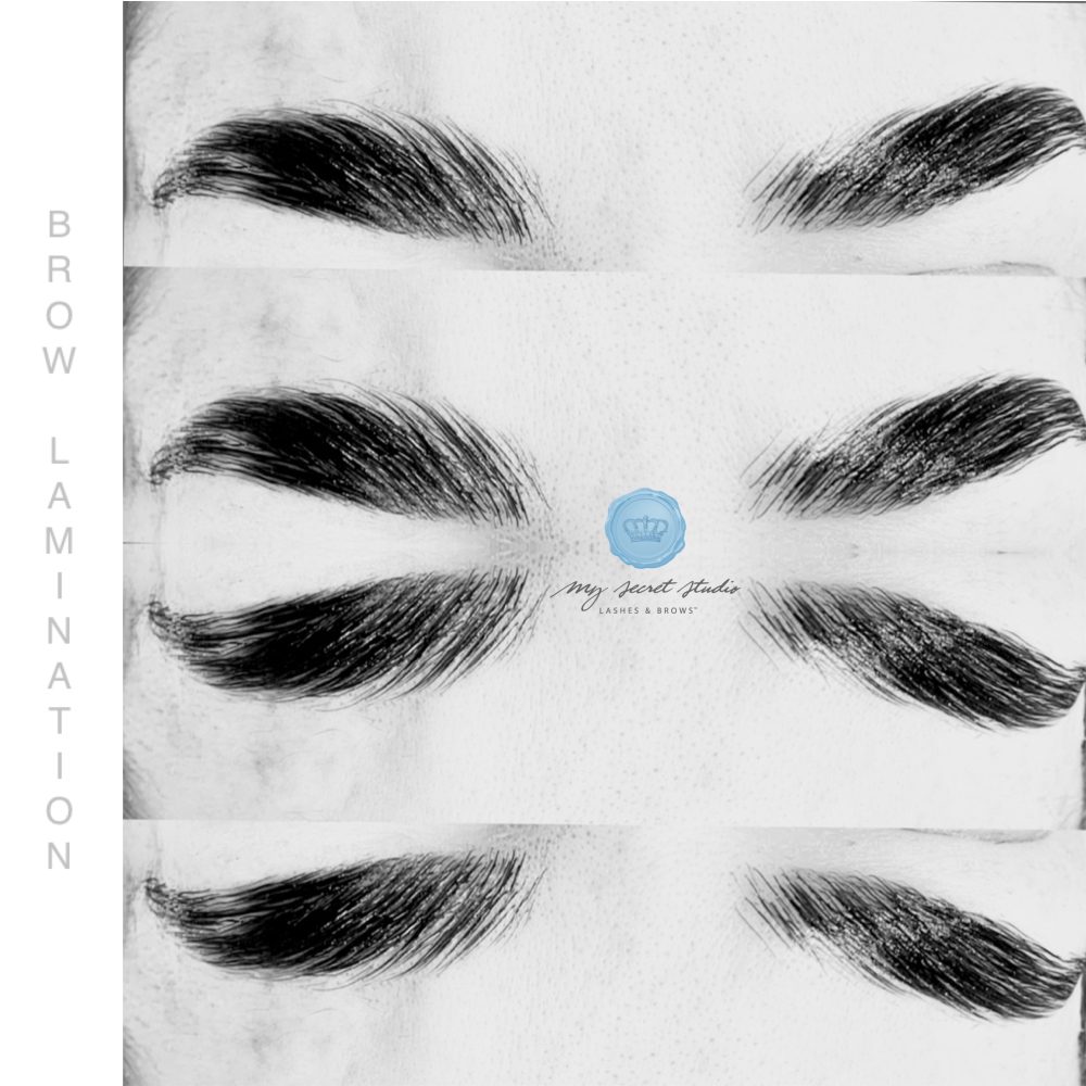 My Secret Studio Lashes & Brows
