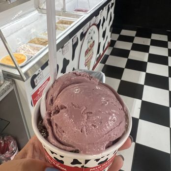 Strachan's Ice Cream & Desserts - Black Cherry Ice Cream and chocolate chili (I cannot remember the name) - Ice Cream & Frozen Yogurt Near Me - Dunedin, Florida Strachan's Ice Cream & Desserts - Black Cherry Ice Cream and chocolate chili (I cannot remember the name) - Ice Cream & Frozen Yogurt Near Me - Dunedin, Florida