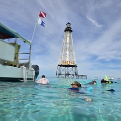 Seahorse Water Adventures - Snorkeling at alligator reef.