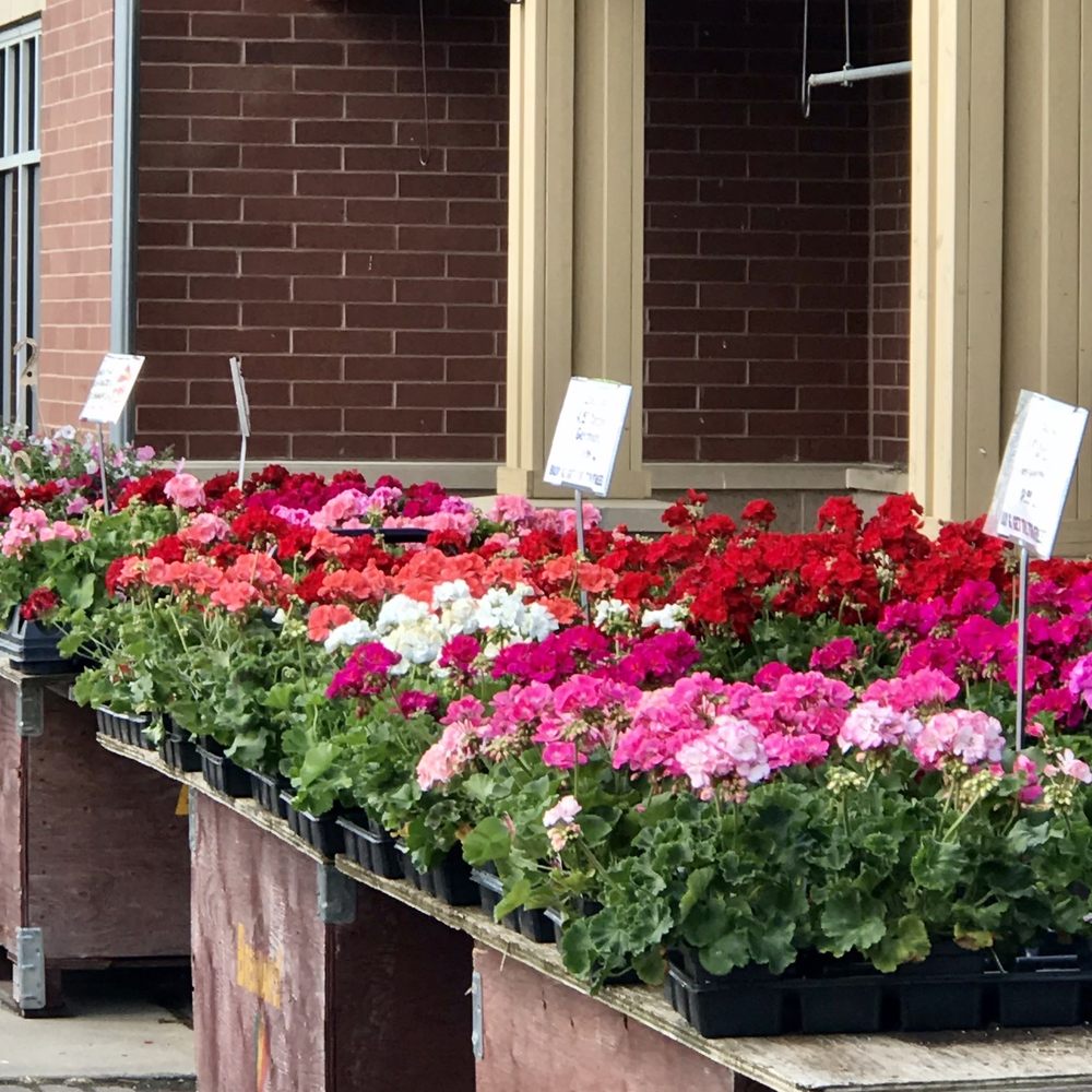 Brennan's Market - Pretty flowers - Beer, Wine & Spirits Near Me - Madison, Wisconsin