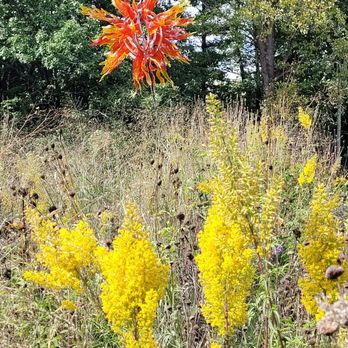 Dow Gardens - Botanical Gardens Near Me - Midland, Michigan