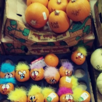 Mariano's - Frankfort - For no hassle predecorated pumpkins . - Bakeries Near Me - Frankfort, Illinois Mariano's - Frankfort - For no hassle predecorated pumpkins . - Bakeries Near Me - Frankfort, Illinois