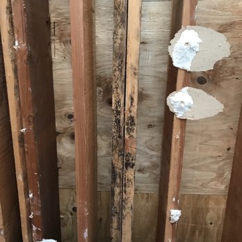 Max Restoration - You can see mold all over before the treatment - Damage Restoration Near Me