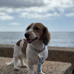 Kaka'ako Waterfront Park