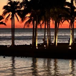The Spa at Isla Bella - Sunset